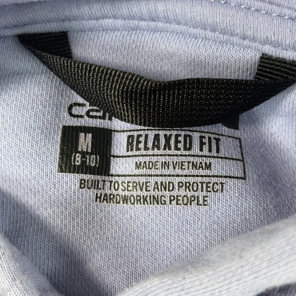 Carhartt Hoodie TS0288-W Youth M 8-10 Purple Graphic Sleeve Relaxed Fit Gorpcore